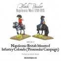 Mounted Napoleonic British Infantry Officers (Pensinsular War)