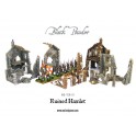 Ruined Hamlet plastic boxed set