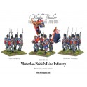 Napoleonic British Line Infantry (Waterloo campaign)