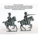 Napoleonic British Light Dragoons 1808-15