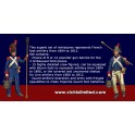 28mm French Napoleonic Artillery 1804 to 1812