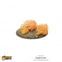 Orange Lichen