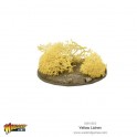 Yellow Lichen