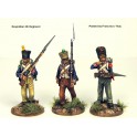 French Napoleonic Infantry Battalion 1807-14