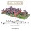 Early Imperial Romans: Legionaries and Scorpion boxed set